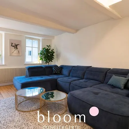 Apartment Le Prestige Place Carriere De Standing Nancy